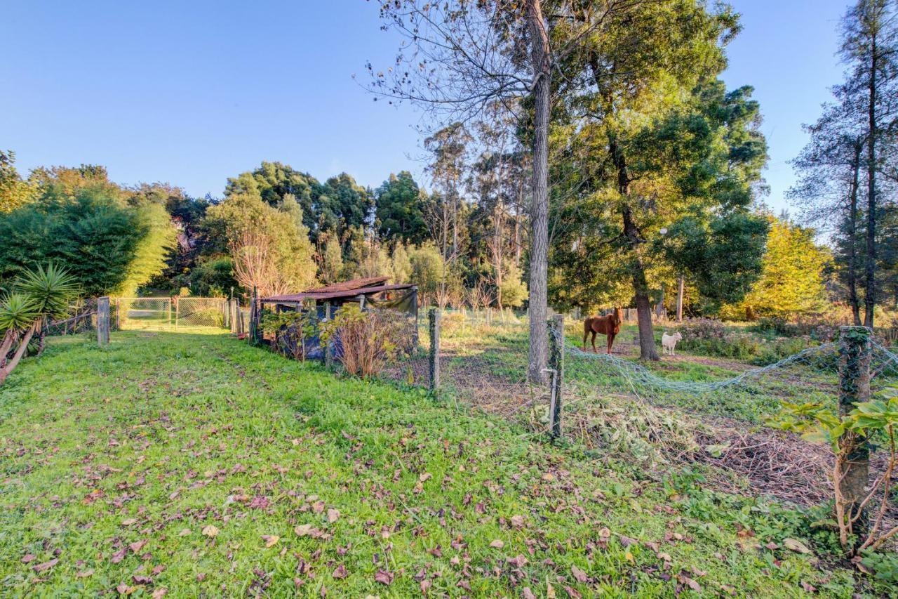 Casa vacanze Casa Do Moinho Rural Campo E , 9 Pessoas, Animais Benvindos