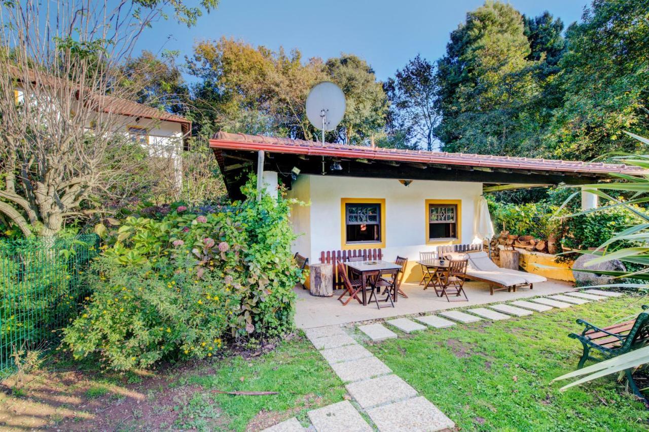 Casa Do Moinho Rural Campo E , 9 Pessoas, Animais Benvindos