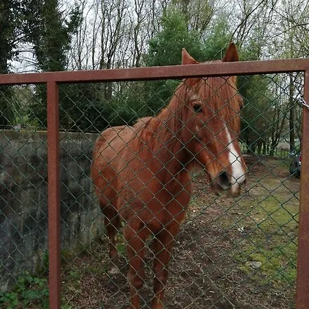 Casa Do Moinho Rural Campo E Praia , 9 Pessoas, Animais Benvindos Espinho  Exterior photo