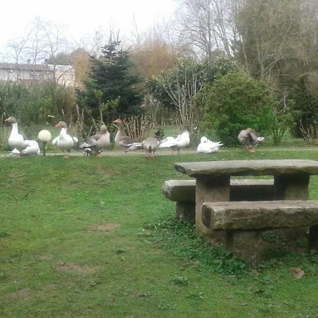 Casa Do Moinho Rural Campo E Praia , 9 Pessoas, Animais Benvindos Espinho  Exterior photo