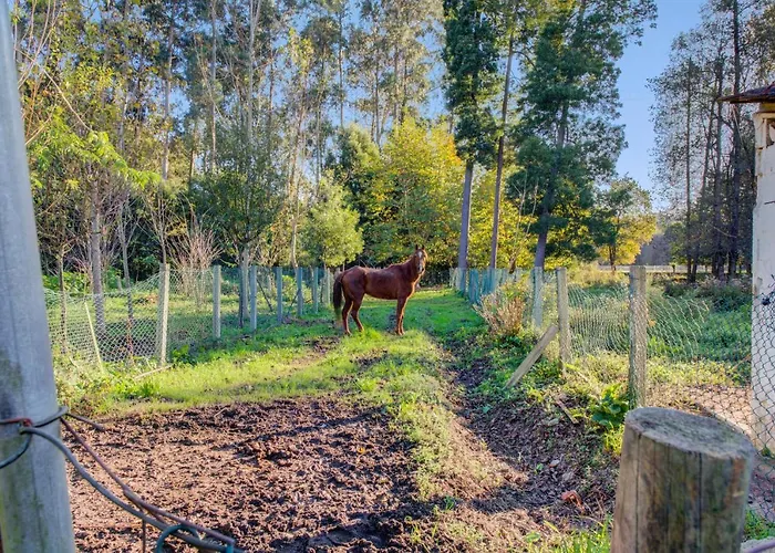 Casa Do Moinho Rural Campo E Praia , 9 Pessoas, Animais Benvindos