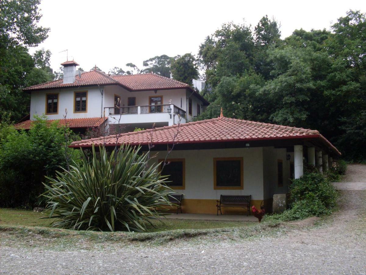 Casa Do Moinho Rural Campo E , 9 Pessoas, Animais Benvindos * Espinho (Aveiro)