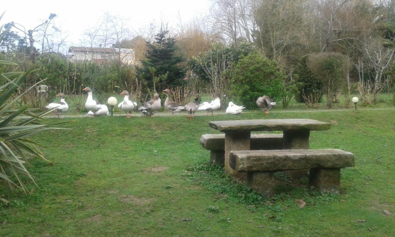 Casa Do Moinho Rural Campo E , 9 Pessoas, Animais Benvindos *